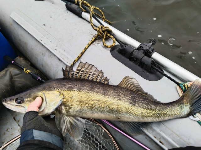 Это была Славная Охота...... 