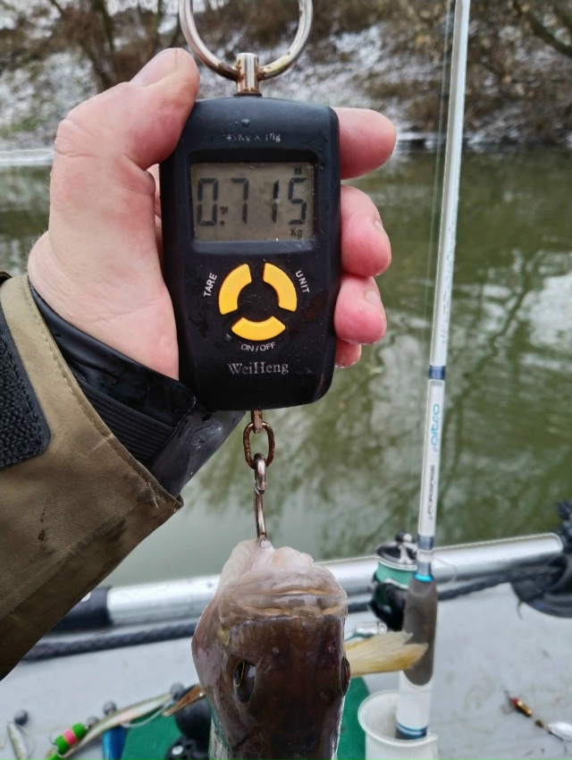 Прошло два дня мощнейшей, неистовой зимы! Две ночи с лютыми морозами — по 10 градусов))) И снова наступила оттепель. Полный штиль и +1 градус. Отличная погода для ловли на спиннинг. 