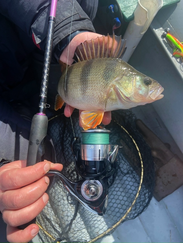 Речки вскрываются. Солнце греет всё сильнее и сильнее. Рыба тоже начинает просыпаться. Щуки уже даже без пиявок.