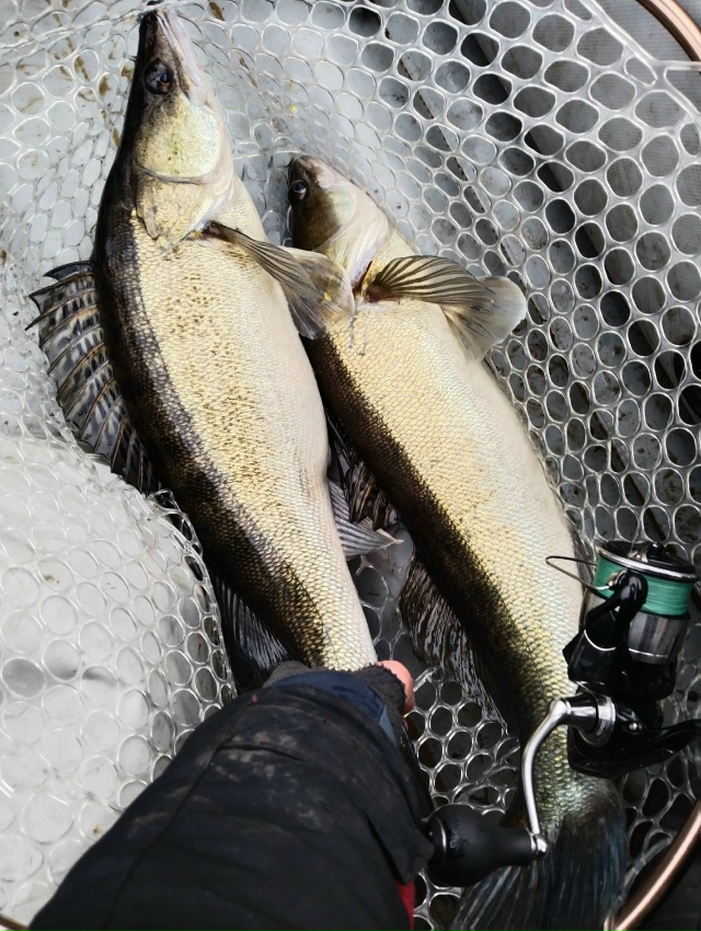 Это была Славная Охота...... 