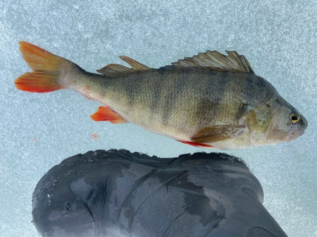 Сезон ловли в дырке закрыт! 